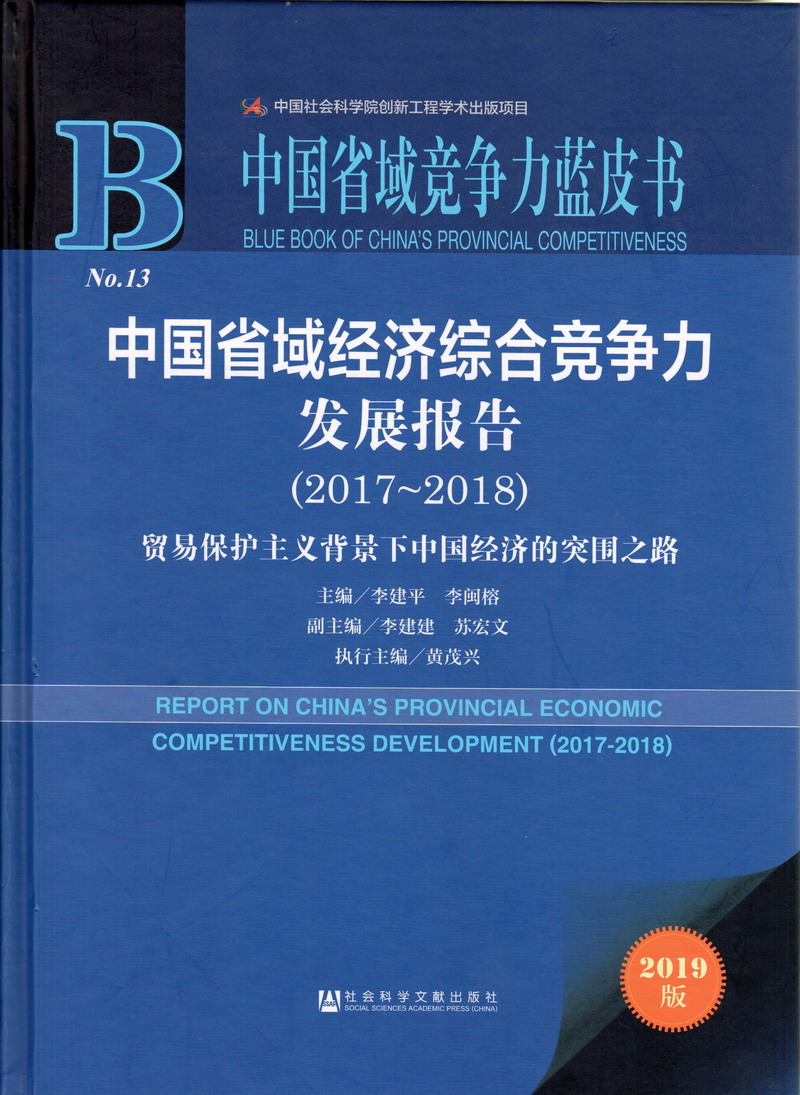 曹逼网站呜呜呜中国省域经济综合竞争力发展报告（2017-2018）